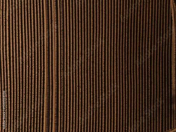 Fototapeta Aerial View of Agricultural Field at Sunset – Neatly Aligned Crop Rows in Golden Light  potatoe field