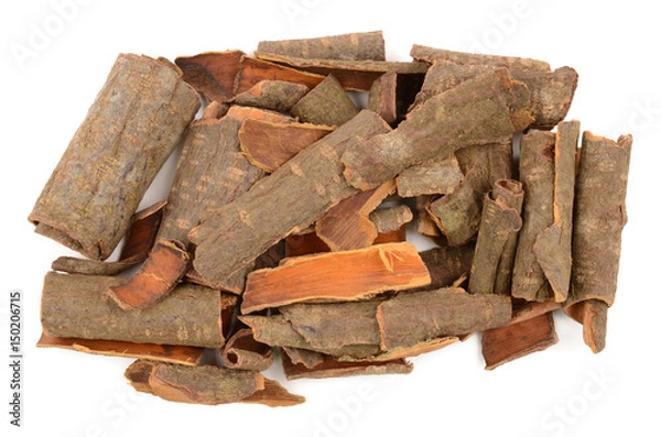 Obraz buckthorn bark