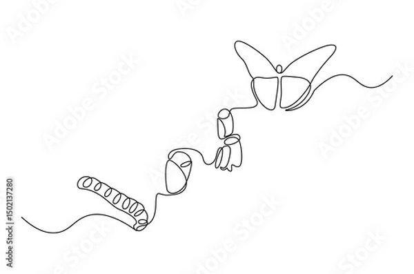 Fototapeta Continuous one line drawing of Butterfly life cycle. Single line drawing illustration of Growth Butterfly. Perfect metamorphosis concept vector art. Line vector illustration.