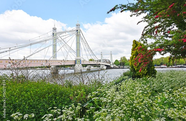 Obraz Albert Bridge from Battersea Park in Spring.