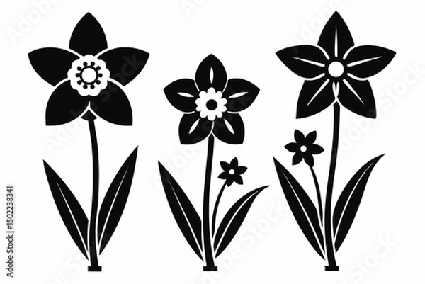Obraz Daffodil flower set silhouette vector black on white background