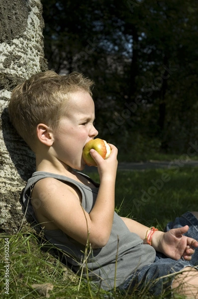 Fototapeta taking a bite