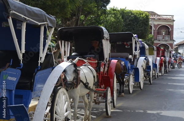 Obraz granada horses