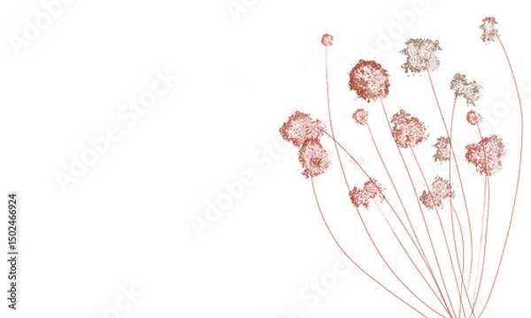 Obraz the flowers on white background