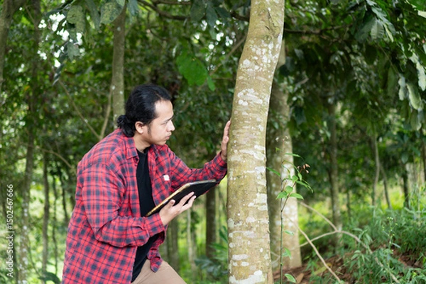 Fototapeta Young environmental researcher using digital tablet to analyze and data collection tree trunk in tropical forest