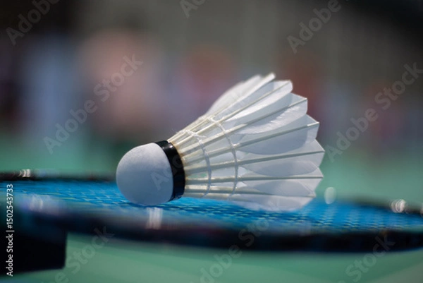 Fototapeta Badminton shuttlecock on badminton racket background in competition field