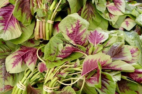 Fototapeta Świeży amarant