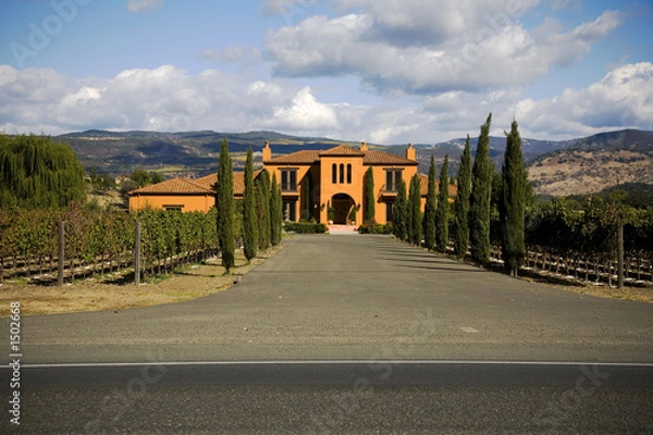 Obraz napa county, ca custom home