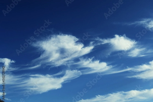 Obraz Ciel bleu avec nuages blancs.