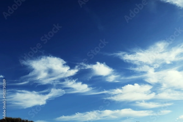 Obraz Ciel bleu avec nuages blancs.