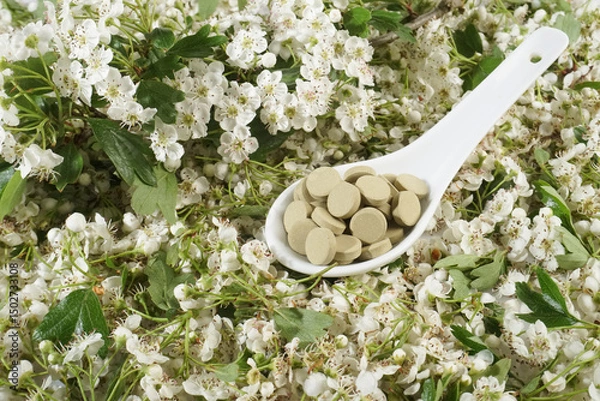 Obraz Hawthorn blossoms with tablets as supplement - Background