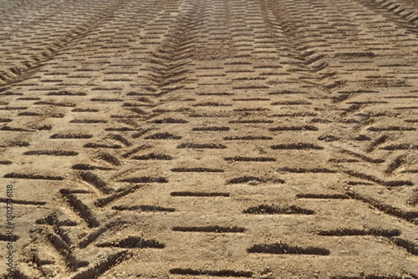 Obraz Traces géométriques sur le sol sec.
