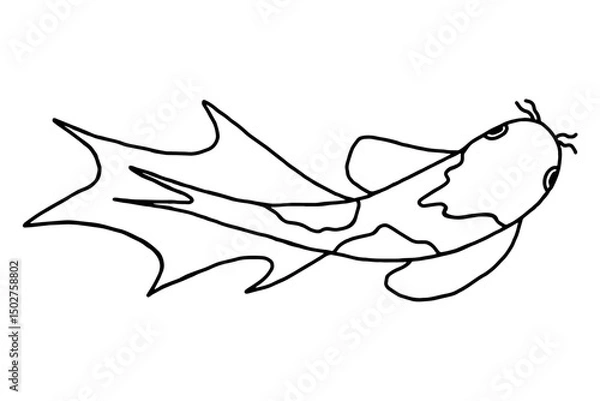 Fototapeta Основные RGB 
Vector image of Koi carp fish in doodle style.