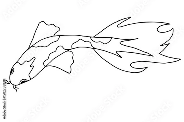 Fototapeta Основные RGB 
Vector image of Koi carp fish in doodle style.