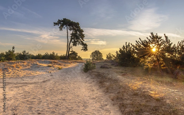 Obraz Sunrise on Aekingerzand Netherlands