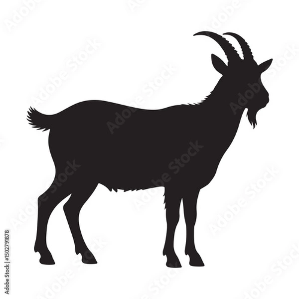 Obraz goat silhouette isolated on white