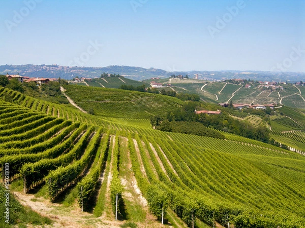 Obraz Piedmont the Langhe