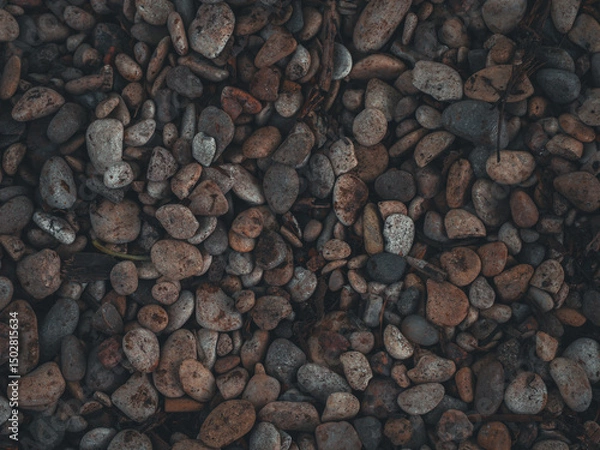 Obraz Wet pebbles of various colors and textures create a beautiful and natural backdrop, perfect for adding a touch of nature to any project. Beautiful it is made of multi-colored sea pebbles.