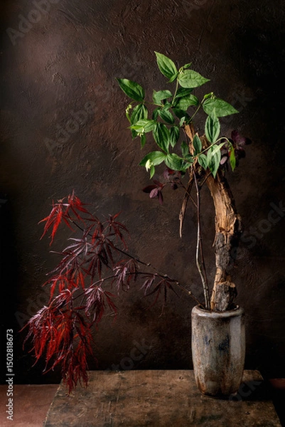Obraz Elegant Potted Plants Against Dark Background
