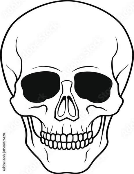 Fototapeta Skull line art vector design 