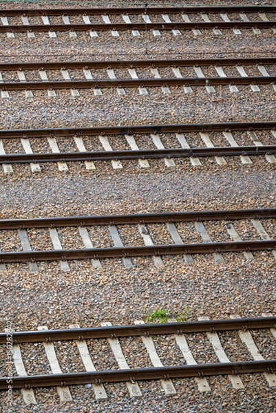 Fototapeta View of the railway tracks