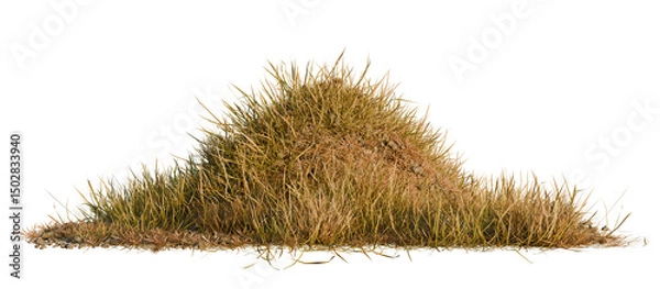 Fototapeta Hills with grass on a transparent background. 3D rendering.	
