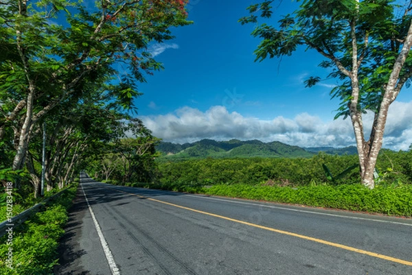 Fototapeta Beautiful road under tree tunnel in countryside. Side view of asphalt road with beautiful forest at Thailand.