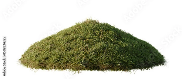 Fototapeta Hills with grass on a transparent background. 3D rendering.	
