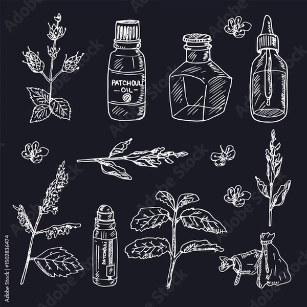 Fototapeta Patchouli hand drawn set Vector isolated objects