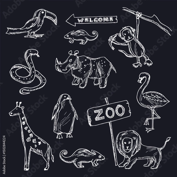 Fototapeta Zoo hand drawn doodle set. Isolated elements on white background. Symbol collection.