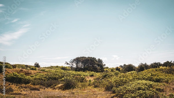 Fototapeta Dune Path on Wangerooge – Green Coastal Landscape with Natural Walkway