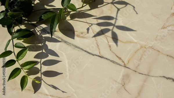 Fototapeta A high-key photograph of green leaves casting dramatic shadows on a cream-colored marble surface.