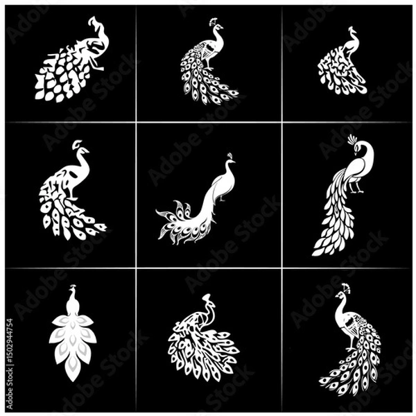 Fototapeta peacock editable black and white group   vector 1