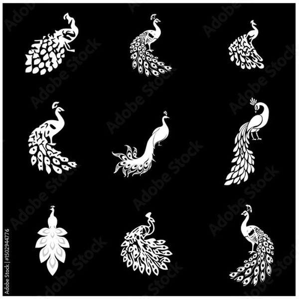 Fototapeta peacock editable black and white vector set 3