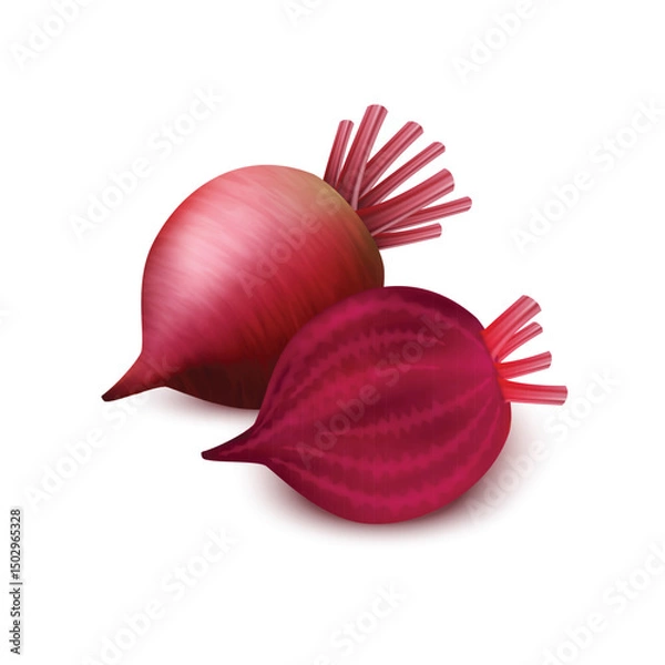 Obraz Beetroot with slices isolated on white background