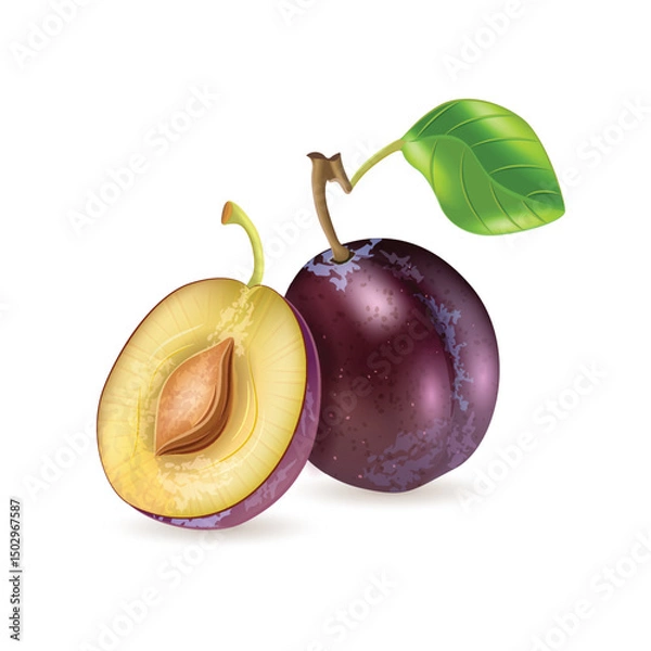 Obraz Plum fruit with slices isolated on white background