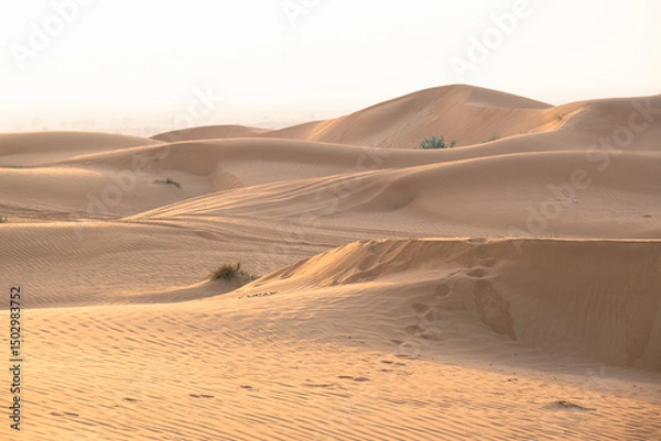 Obraz Expansive view of golden sand dunes in a serene desert environment, with gentle slopes and soft curves creating a peaceful and natural scene, ideal for travel and nature themes