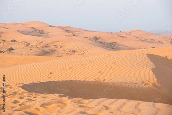 Obraz Serene view of vast desert landscape showcasing gently rolling sand dunes under a clear sky. Captures the natural beauty and tranquility of the desert environment.