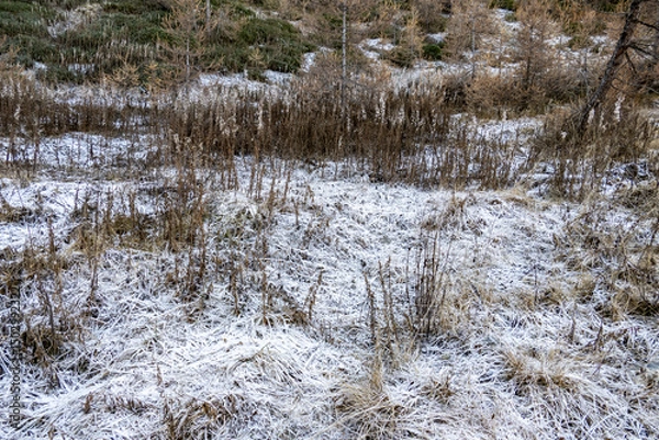Obraz Sestrière, Piemonte (Italy)