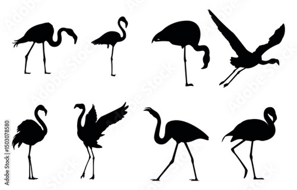 Fototapeta Flamingo vector silhouette. Black silhouette of tropical bird flamingo