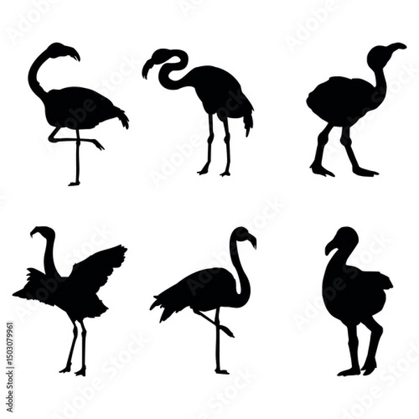 Fototapeta Flamingo vector silhouette. Black silhouette of tropical bird flamingo