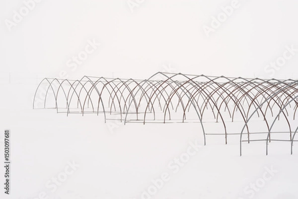 Obraz winter landscape with snow