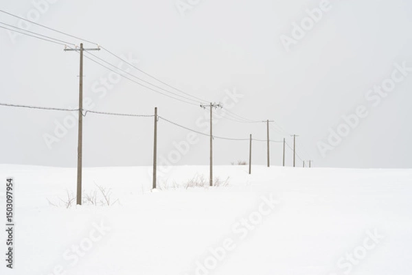 Obraz power lines in winter