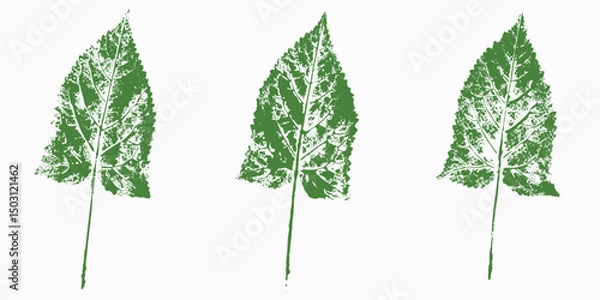 Obraz Natural leaves imprint, Grunge style, Vector, Isolated, Decorative elements for design	
