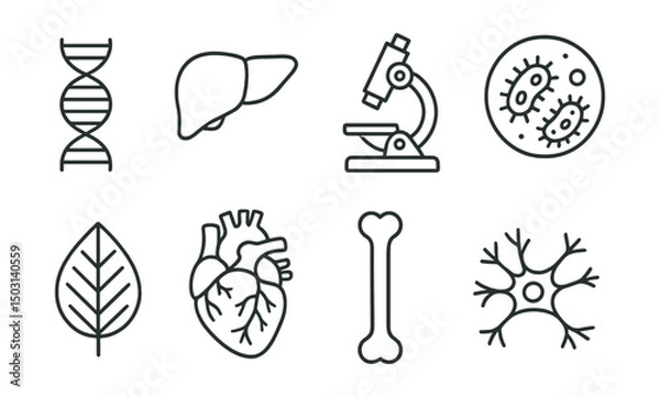 Obraz Line style icons of biology: DNA strand, human organ icon, microscope cell, bacteria icon, plant leaf structure, heart anatomy, bone skeleton, neuron network.