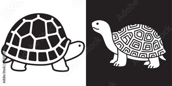 Fototapeta Two vector illustrations of a turtle against a black and white background are shown. 