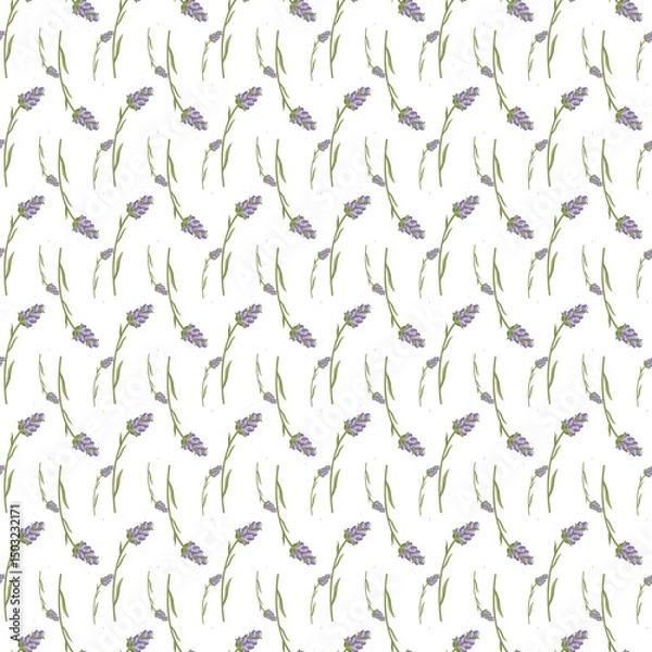 Obraz Seamless Pattern with Lavender Floral Design on White Background