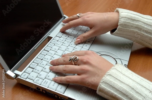 Obraz laptop & lady hands