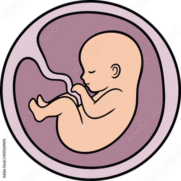 Obraz Human fetus in womb vector illustration with pink and purple colors natural flow 