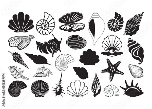 Fototapeta  Seashell vector,  Seashell clipart,  Seashell silhouette